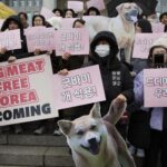 South Korea Ban Dog Meat